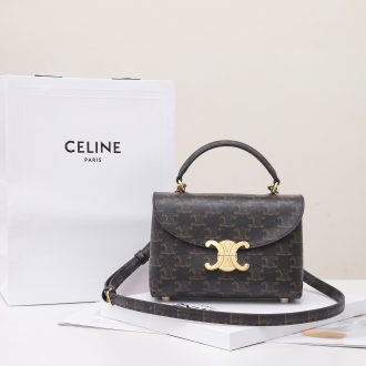 Celine Triomphe Canvas Mini Bag