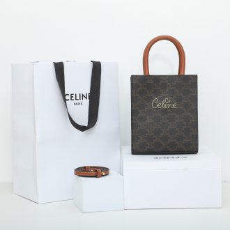 Celine Triomphe Canvas Mini Tote Bag