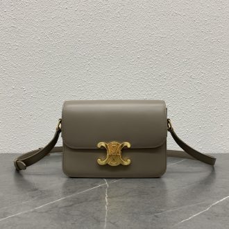 Celine Classic Box Bag in Taupe