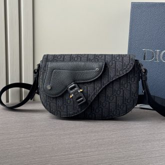 Dior Saddle Bag in Oblique Canvas