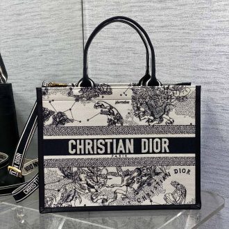 Dior Book Tote Bag