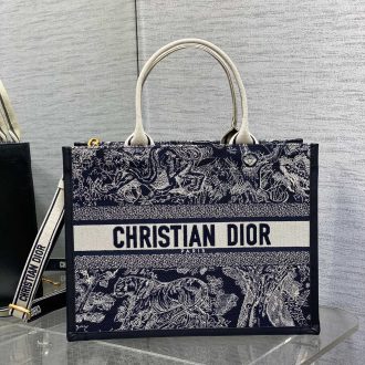 Dior Book Tote Bag