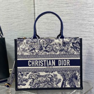 Dior Book Tote Bag