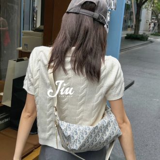 Dior Oblique Saddle Bag
