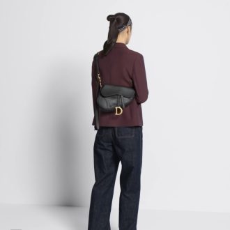 Dior Saddle Bag