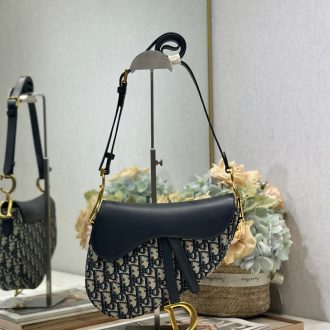 Dior Saddle Bag in Oblique Canvas