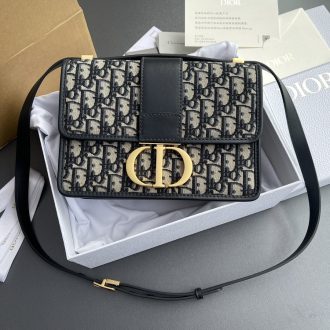 Dior Monogram Saddle Bag