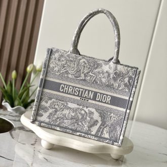 Dior Book Tote Bag