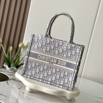 Dior Book Tote Bag