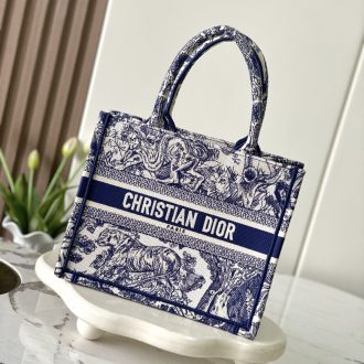 Dior Book Tote Bag