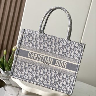 Dior Book Tote Bag