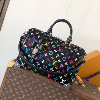 Louis Vuitton Multicolor Monogram Handbag