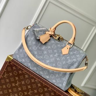 Louis Vuitton Monogram Canvas Handbag