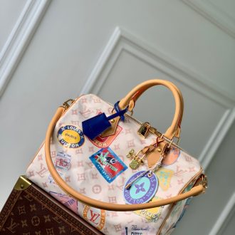 Louis Vuitton Vintage Travel Stickers Speedy Bag