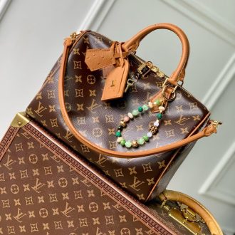 Louis Vuitton Monogram Canvas Handbag