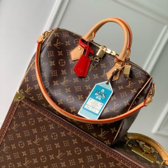 Louis Vuitton Monogram Canvas Speedy Bag