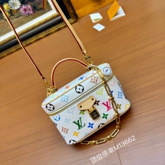 Louis Vuitton Multicolor Monogram Bag
