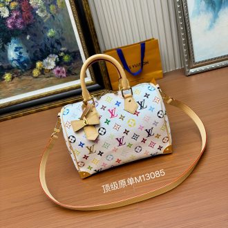 Louis Vuitton Multicolor Monogram Canvas Handbag