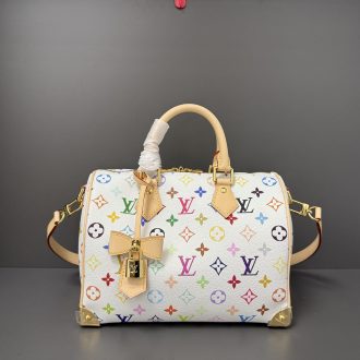 Louis Vuitton Multicolor Monogram Speedy Bag