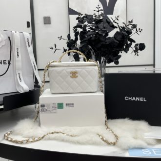 Chanel Quilted Vanity Case Bag
