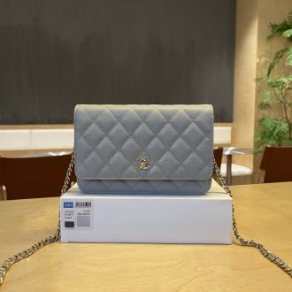 Chanel Quilted Leather Chain Bag