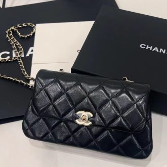 Chanel Quilted Leather Flap Bag